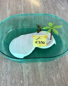 Acquario tartaruga plastica azzurro 43x30x10h